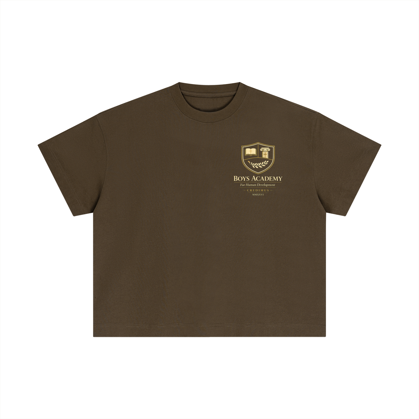 Proverbs 4:23 - Essential Cotton Boxy T-Shirt