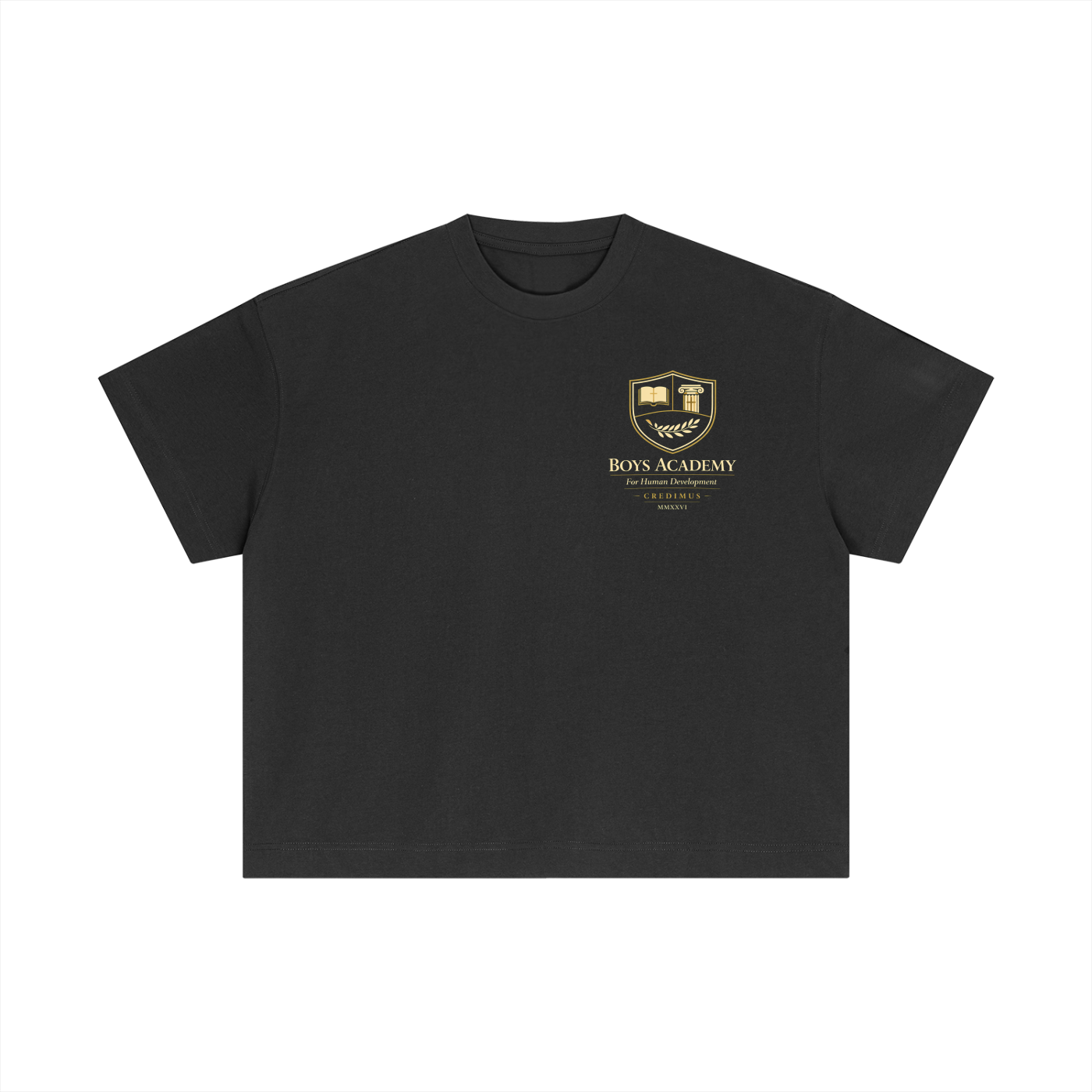 Proverbs 4:23 - Essential Cotton Boxy T-Shirt