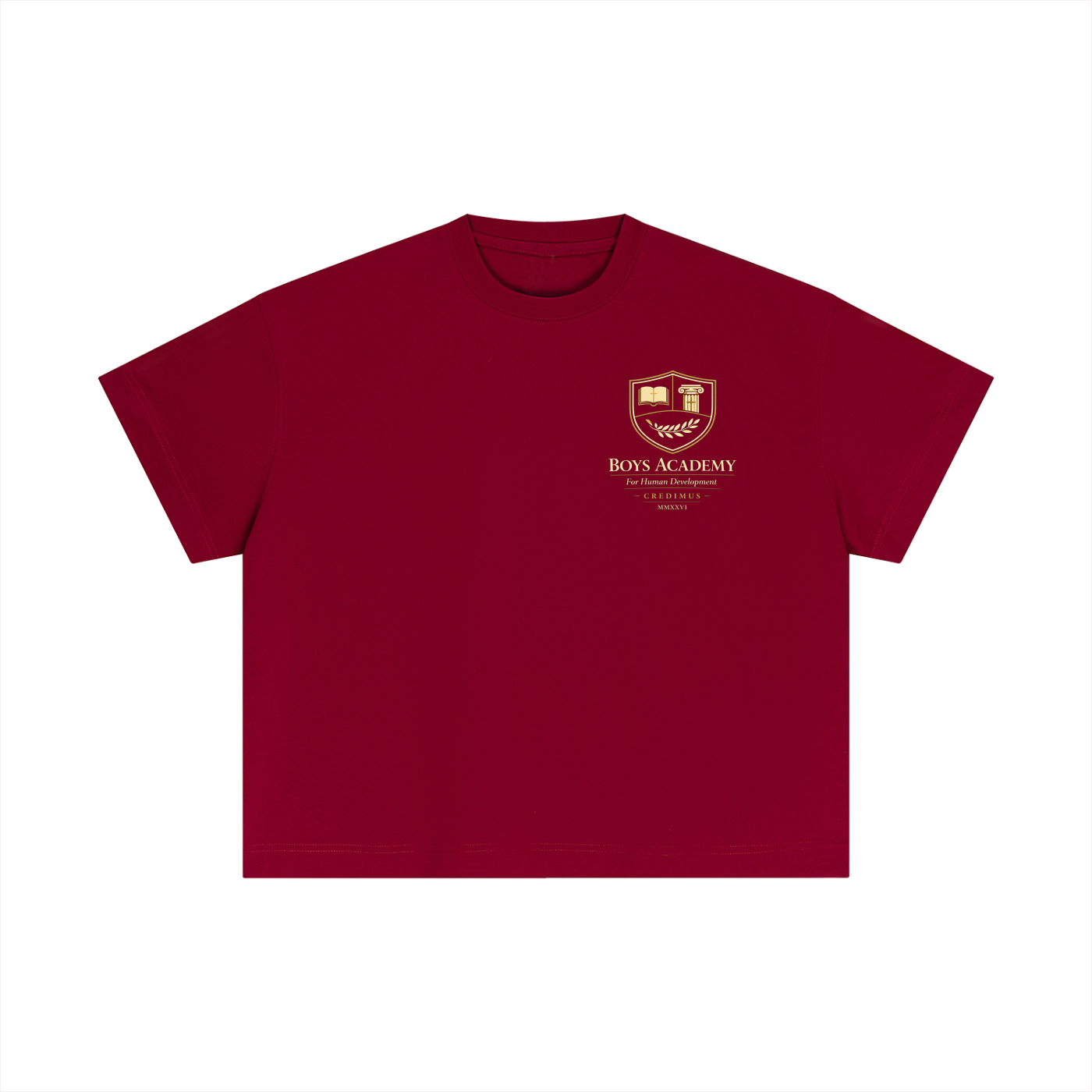 Proverbs 4:23 - Essential Cotton Boxy T-Shirt