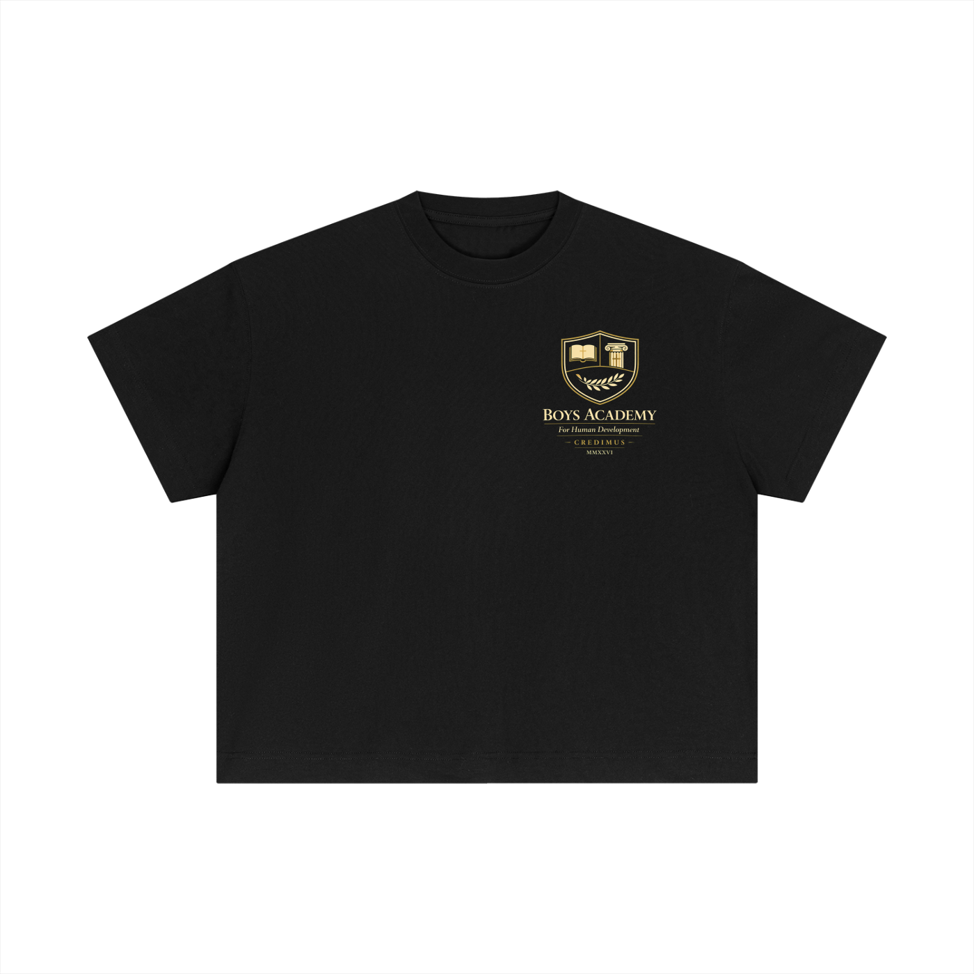 Proverbs 4:23 - Essential Cotton Boxy T-Shirt