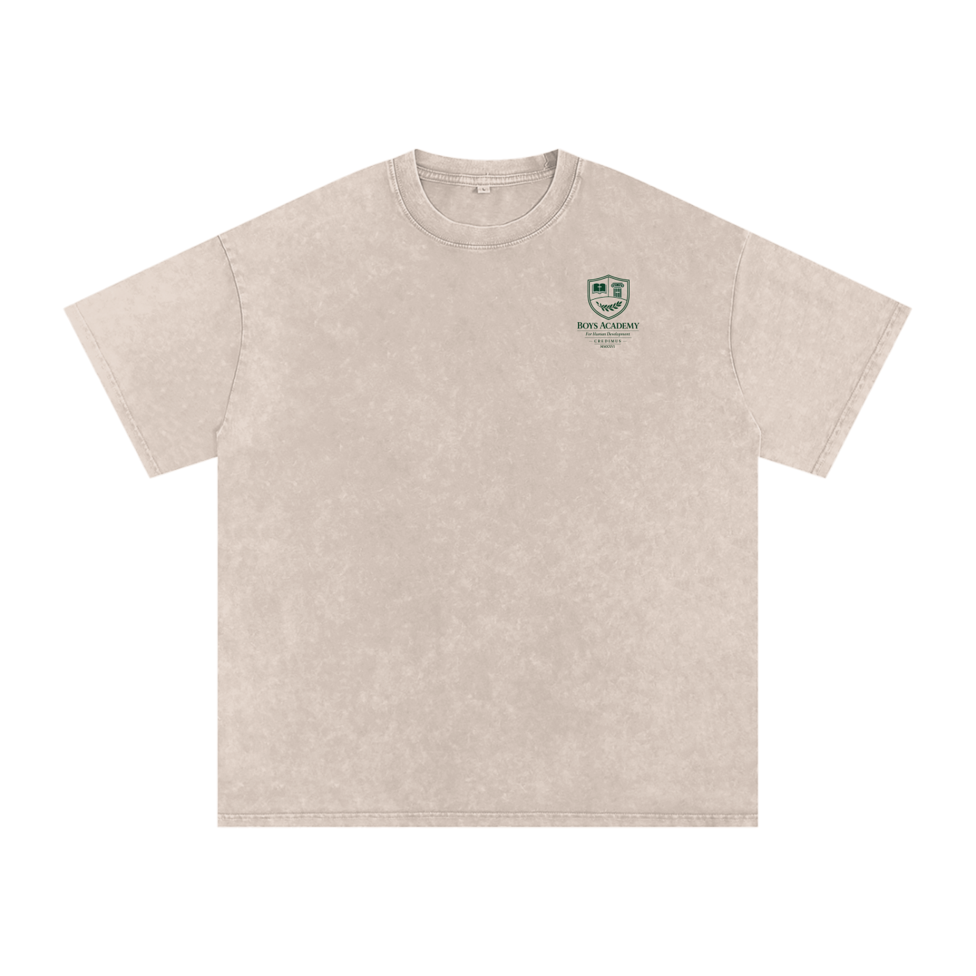 Isaiah 41:10 Snow Washed Oversized Cotton T-Shirt