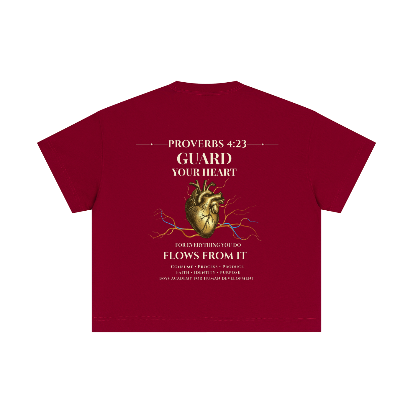Proverbs 4:23 - Essential Cotton Boxy T-Shirt