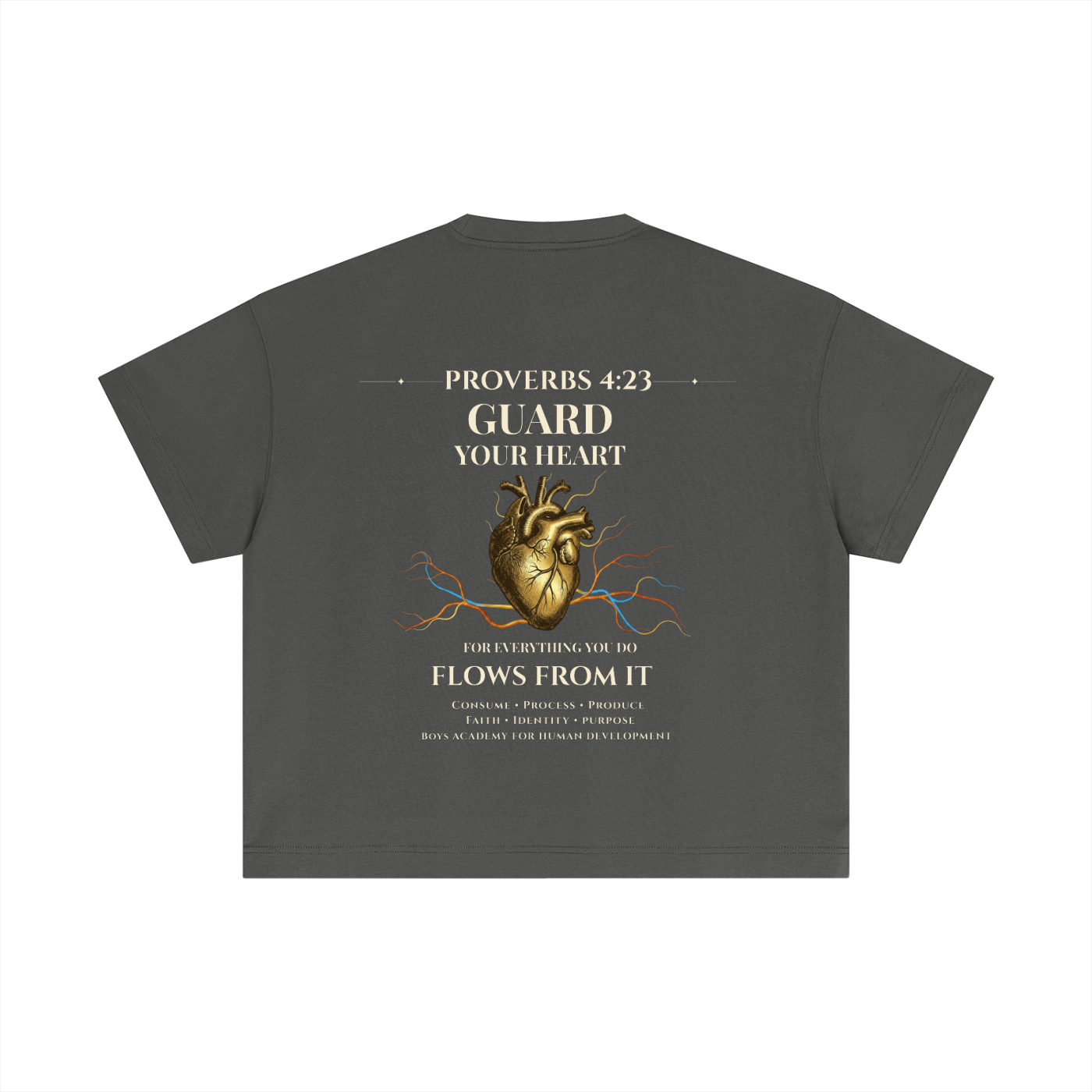 Proverbs 4:23 - Essential Cotton Boxy T-Shirt