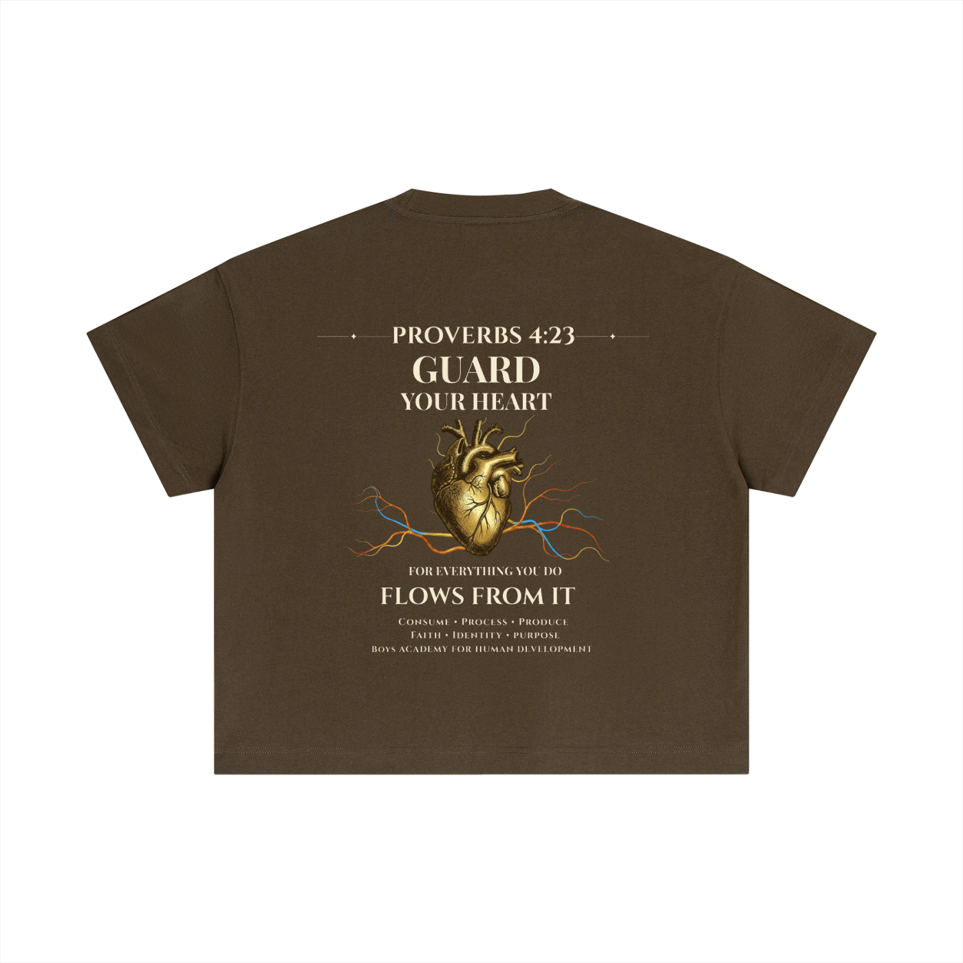 Proverbs 4:23 - Essential Cotton Boxy T-Shirt